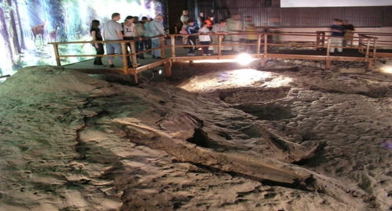 Hungary Ipolytarnóc Prehistoric Fossil museum