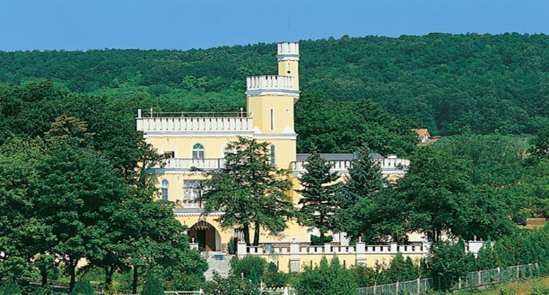 Hungary Sir David Balaton Castle, Balatonszepezd
