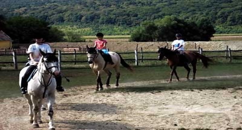 Sokoro-guesthose-horse-riding-undiscoveedhungary