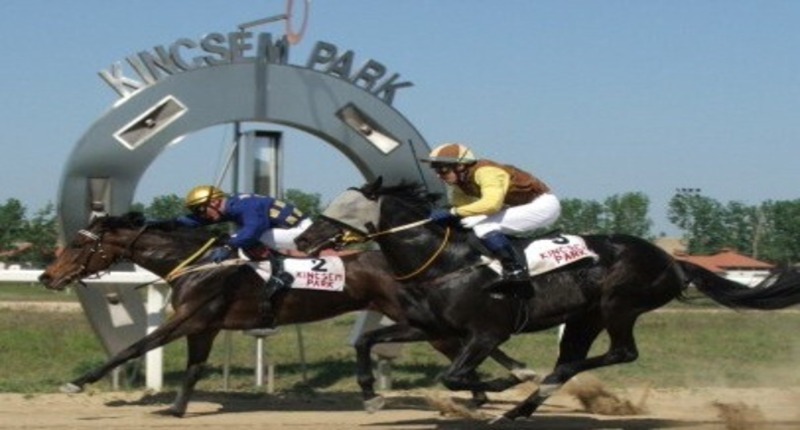 Horse_race_course__budapest_kincsem_park__2
