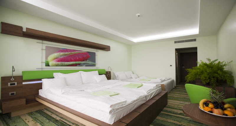 Vital_hotel_gardony_room_lake_velence